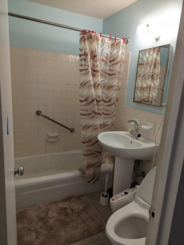 Before the bath remodel
