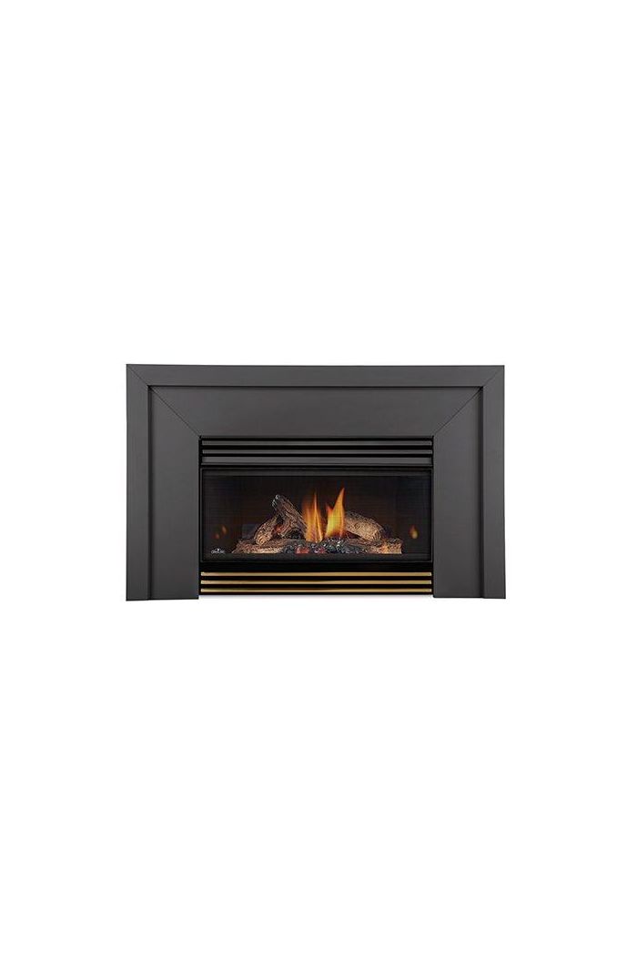 Napoleon Fireplaces GI3600-4NSB Basic fireplace insert with glass - Natural gas