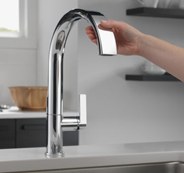 Kitchen Faucet Fantasies